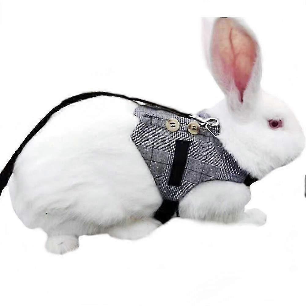 Rabbit Vest Harness Adjustable With Button