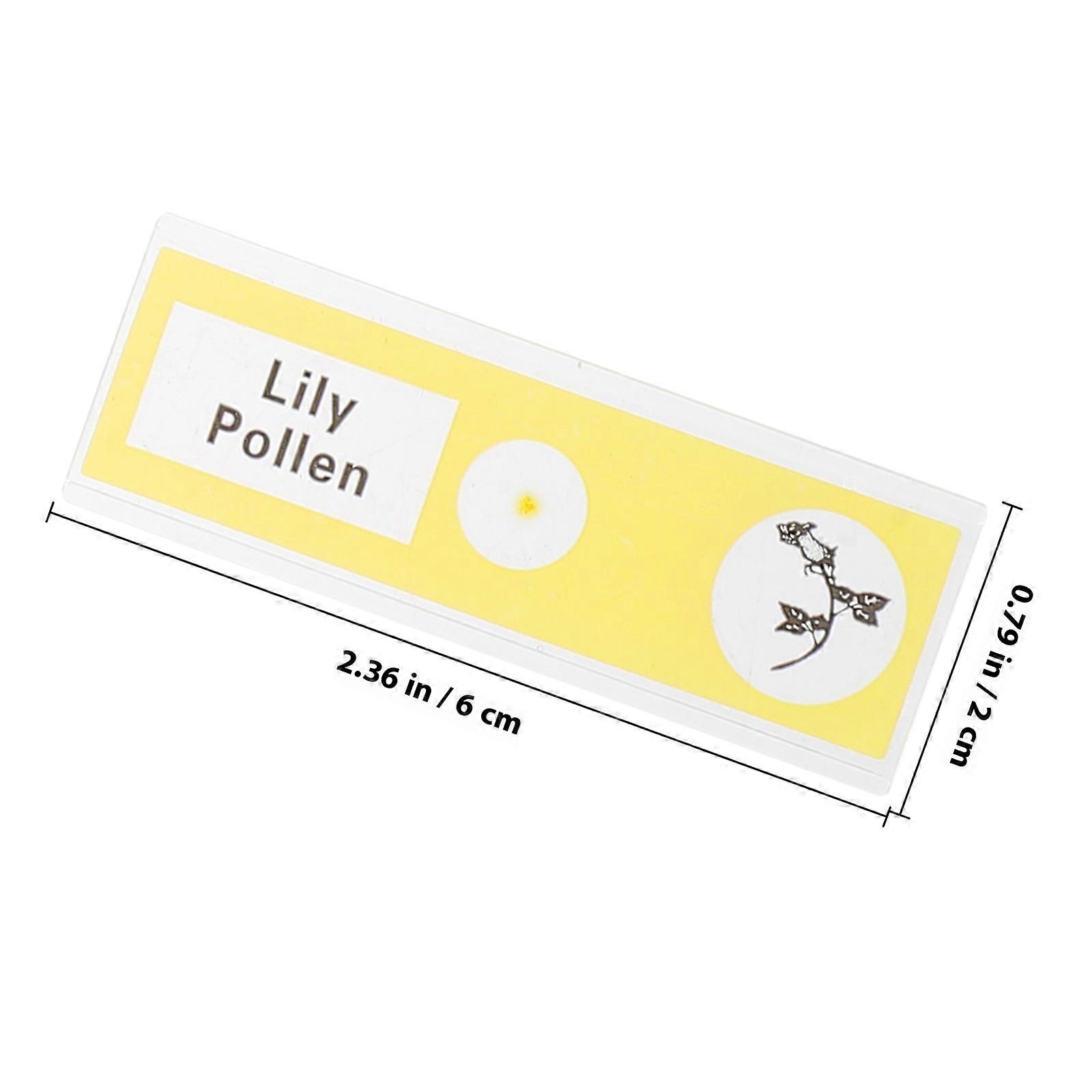 Plastic Prepared Microscope Slides Sample Microscope Slides for Kids 36Pcs