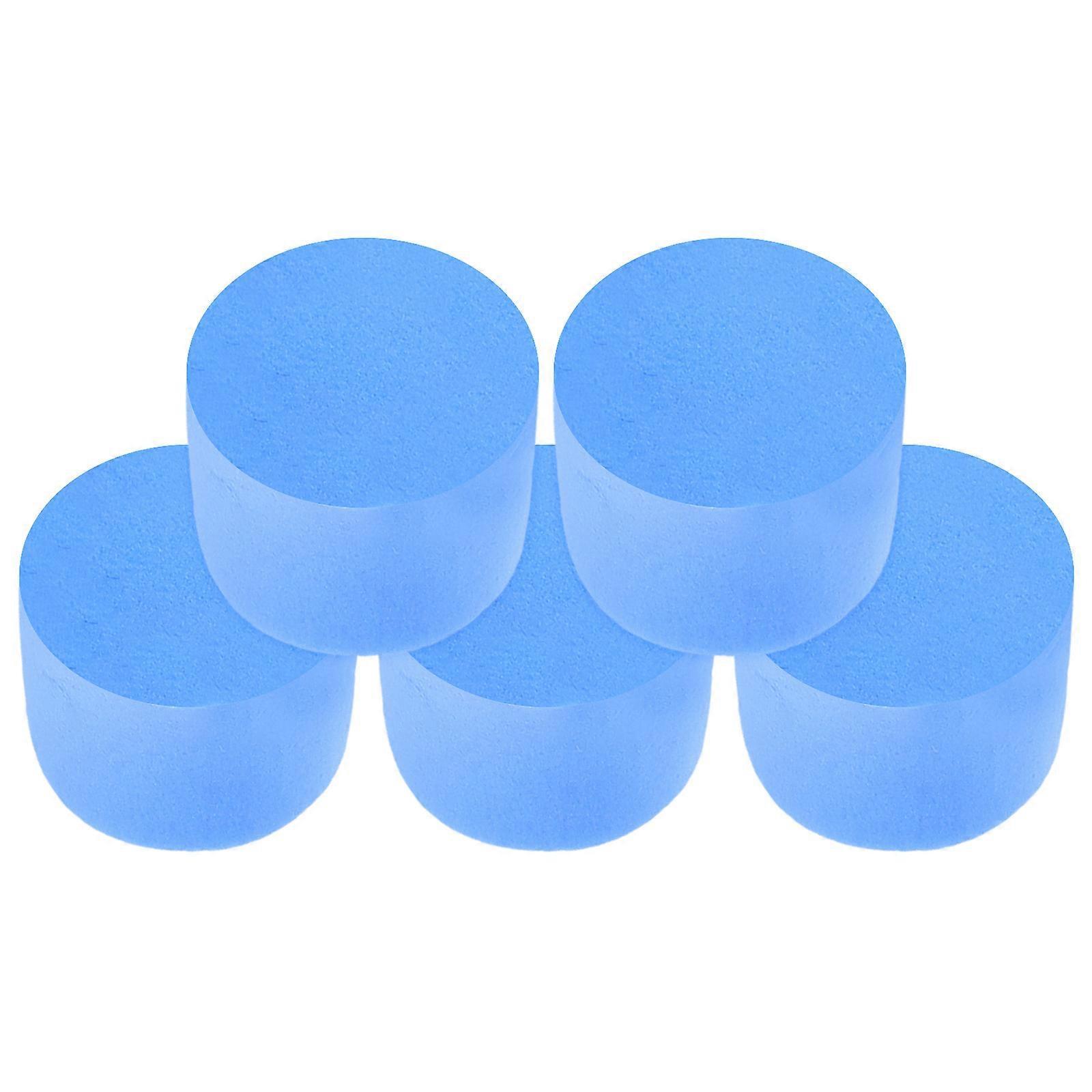 Educational Ant Habitat Sponge Set