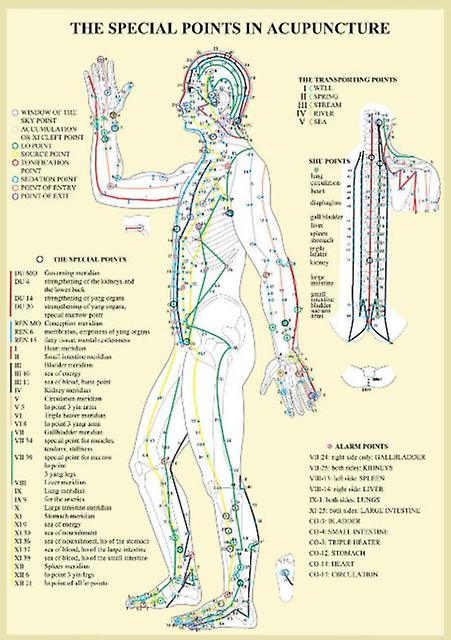 Special Points In Acupunture A4 by Jan van Baarle Paperback Book