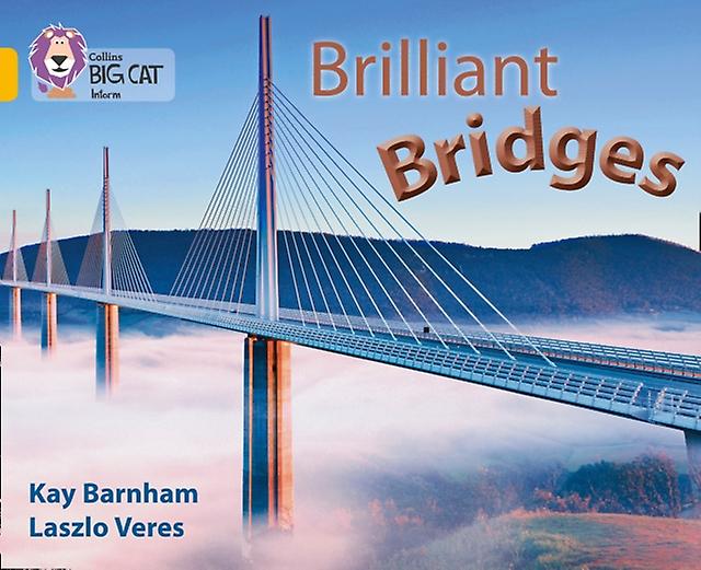 Brilliant Bridges by Kay Barnham Paperback