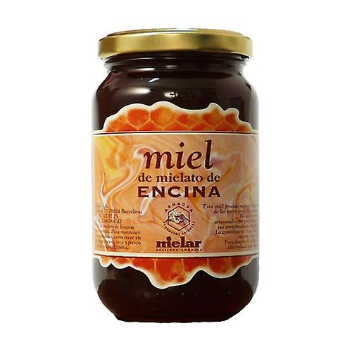 Holm oak honey 500 g