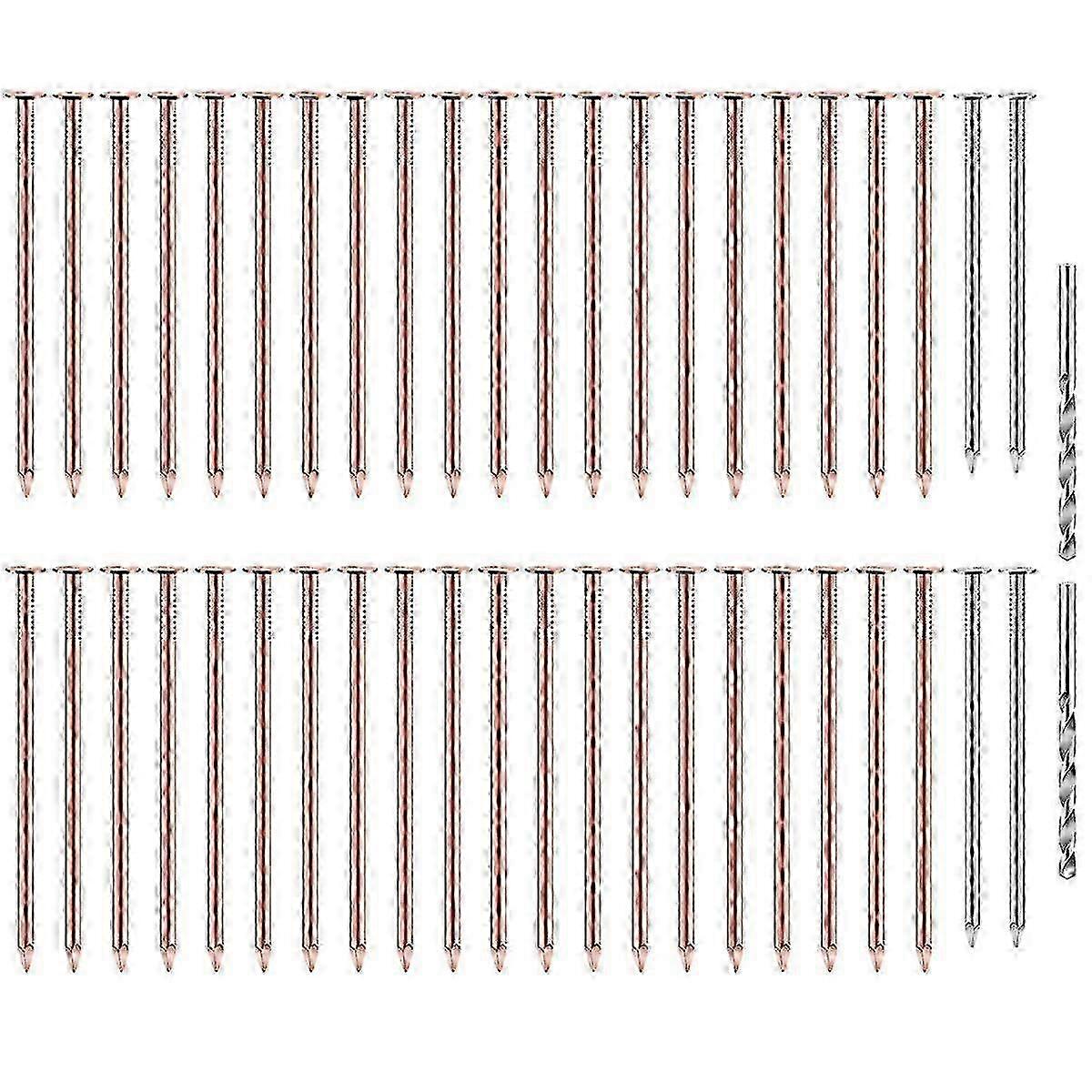 40 Pcs Copper Nails to Killing Trees,3.5 Inch Pure Copper Nails Bulk,Stump Removal Spikes Hardware Nails compatible with Trees