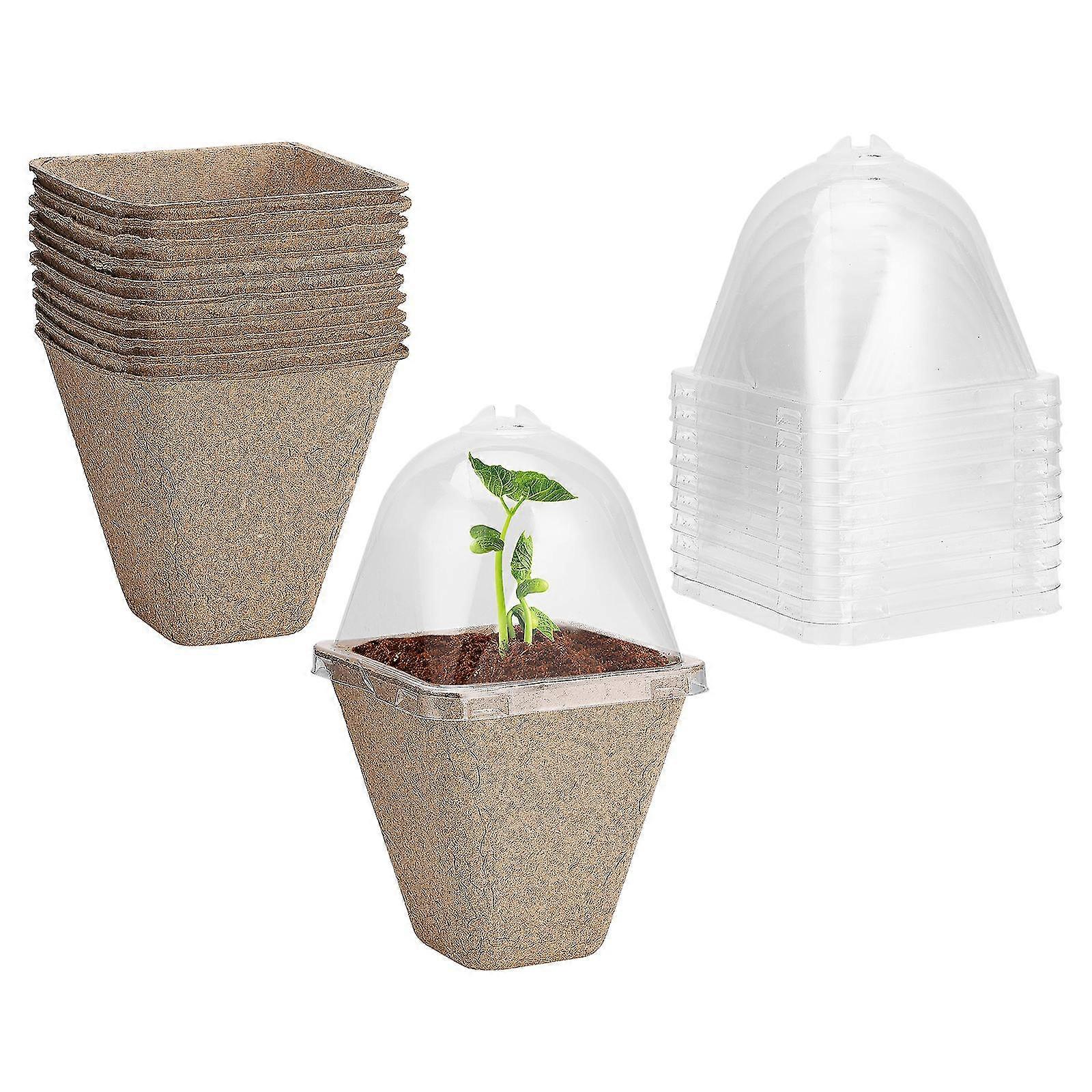 Samen Starter Töpfe Sämling Pflanzgefäß mit Feuchtigkeit Dome Transparente Abdeckung Gemüse Pulp + pp Kunststoff 10 Set Gartenarbeit