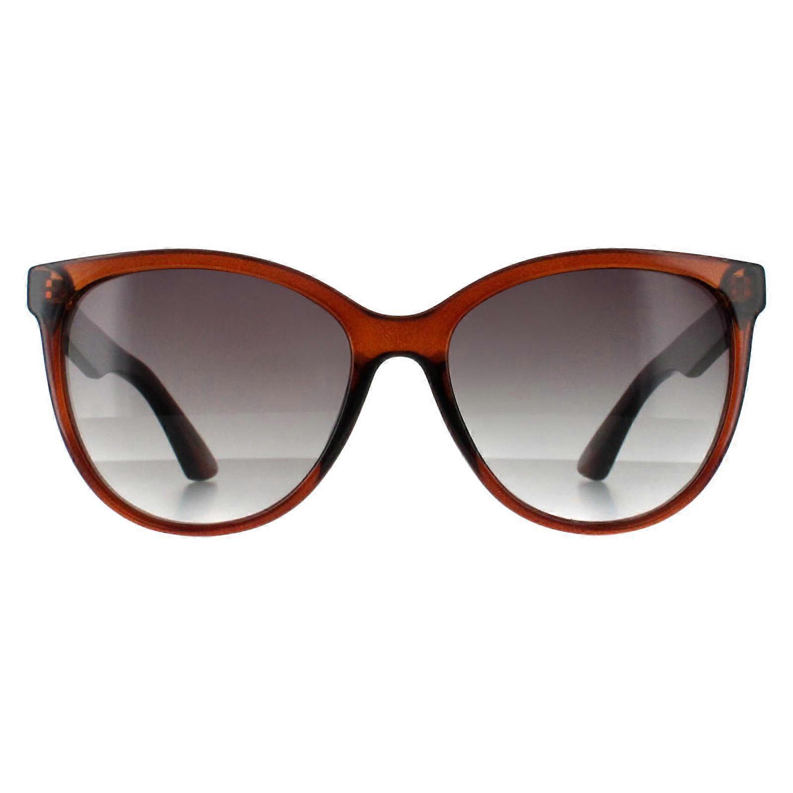 Smarty Sunglasses SB2312 B Transparent Brown Grey