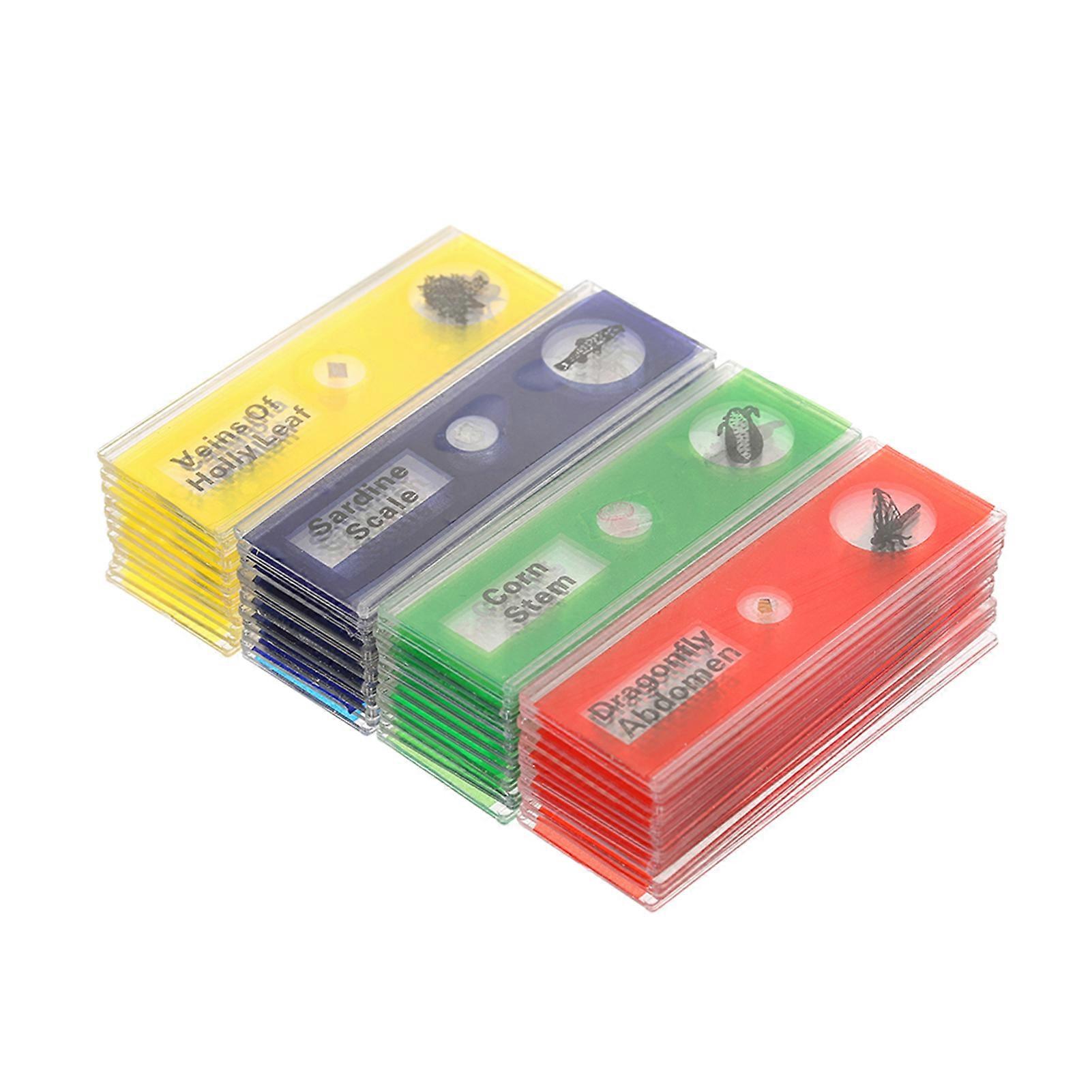48pcs/set Plastic Prepared Microscope Slides Animals Insects Plants Sample Specimens Slides Set with Color Labels for Kids Students