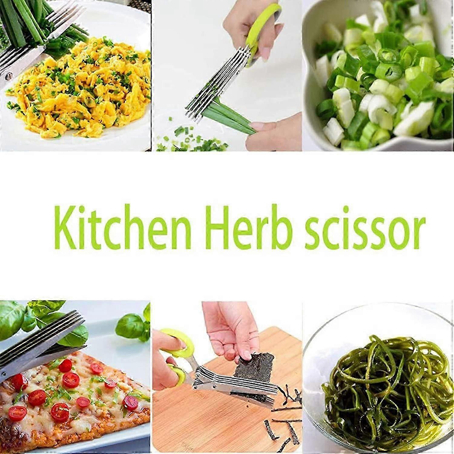 Herb Scissors,5 Blade Scissors Herb Scissors for Aromatic Herbs Equipped with Cleaning Comb