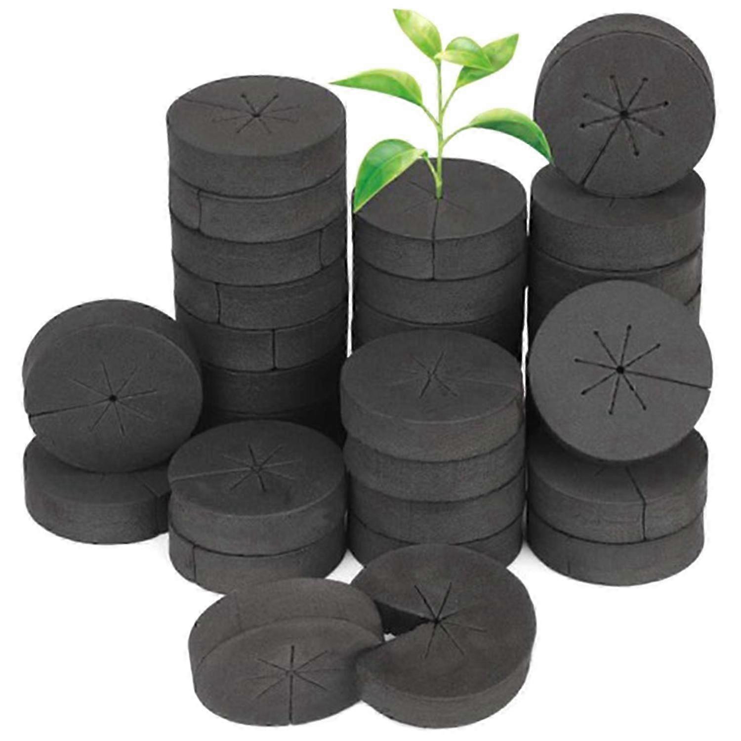 60Pcs Garden Clone Collars Neoprene Inserts Sponge Block for 2 inch Net Pots Hydroponics Systems an Edition 0719