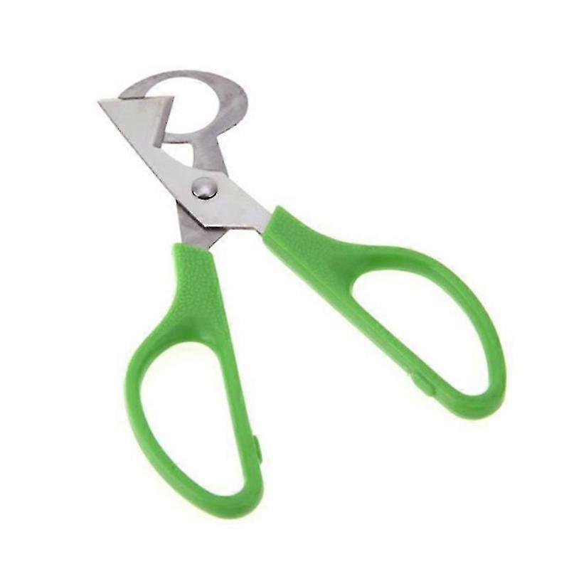 2025 Quail Egg Scissors Quail Egg Open Lightweight Made Green Practical Design and Durable