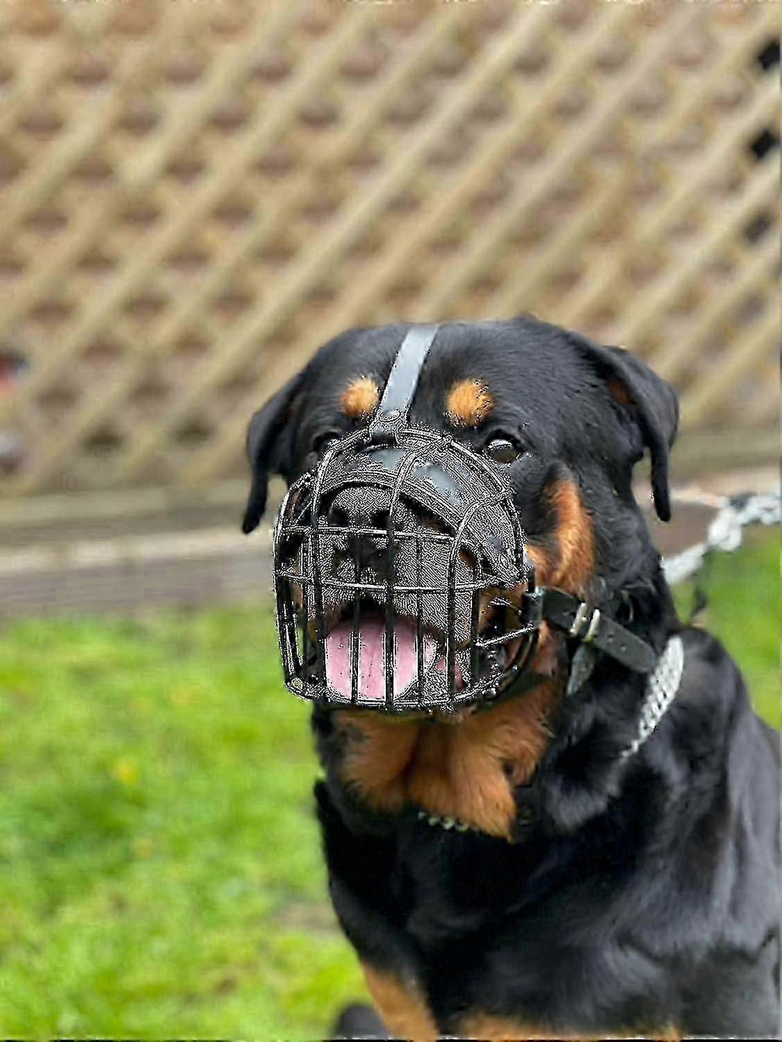 ロットワイラー、マスティフ、ゴールデンレトリバー、大型犬用ストロングワイヤーメタル犬用マズルバスケット(ブラックレザー)l