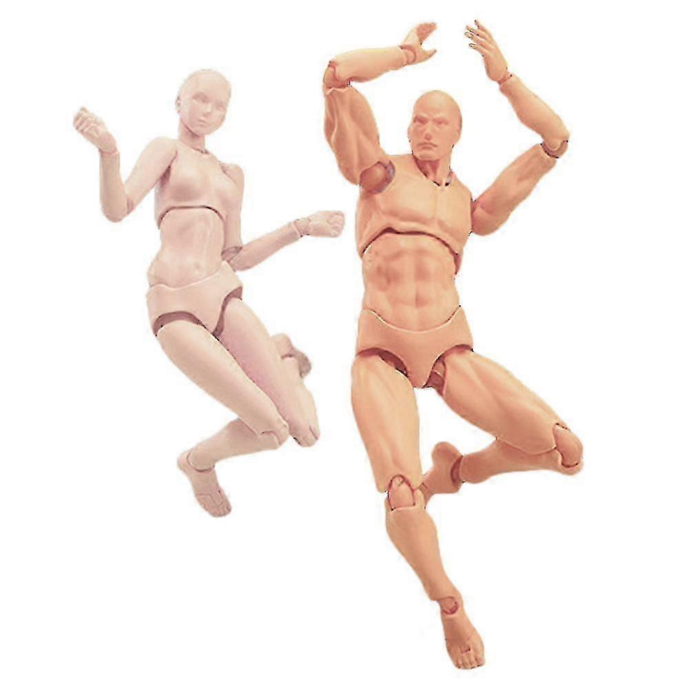 Articulated Mannequins Human Body Models PVC Movable Action Figure Models Gifts11 2025
