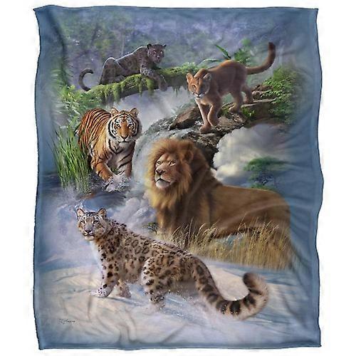 JQ Licensing Jlo Silky Cats Supersoft Blanket