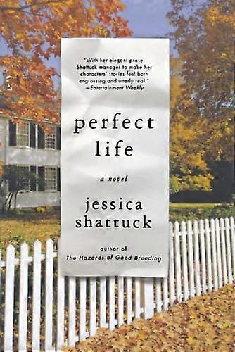 Perfect Life: A Novel