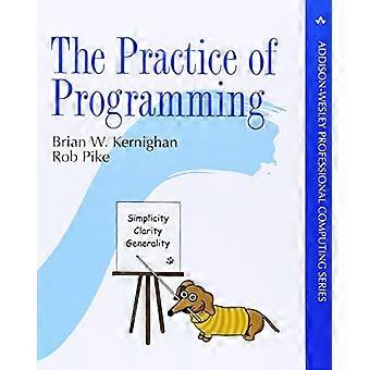 The Practice of Programming (Professional Computing)