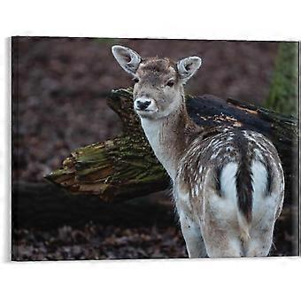Wildlife Deer Animal Jigsaw Puzzle VV562