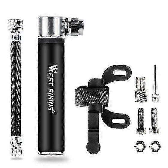 Mini Alloy Pump 120 PSI Dual Valve