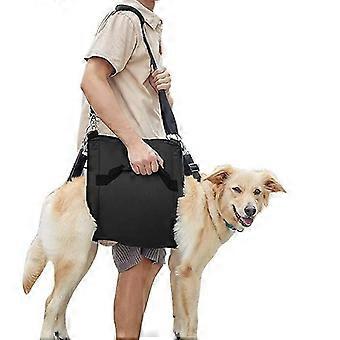Rehabilitation Dog Walking Strap