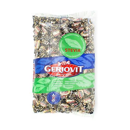 Geriovit Sugar Free Mini Espresso Caramel 1 kg (Coffee)