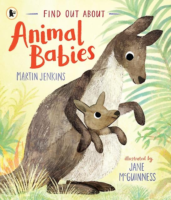 Find Out About ... Animal Babies by Martin Jenkins Paperback Book