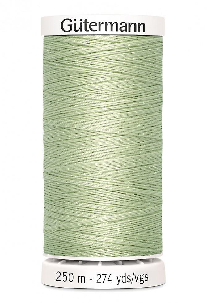 Gutermann Sew All Polyester Sewing Thread 250m 818 - each