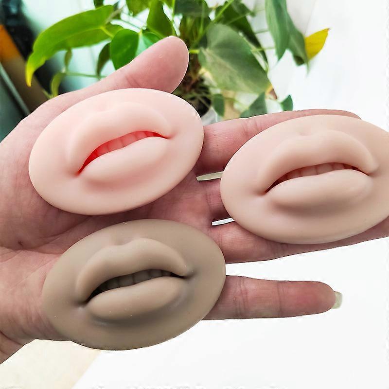 3pcs 5d Lip Model Practice Silicone Skin Makeup Training