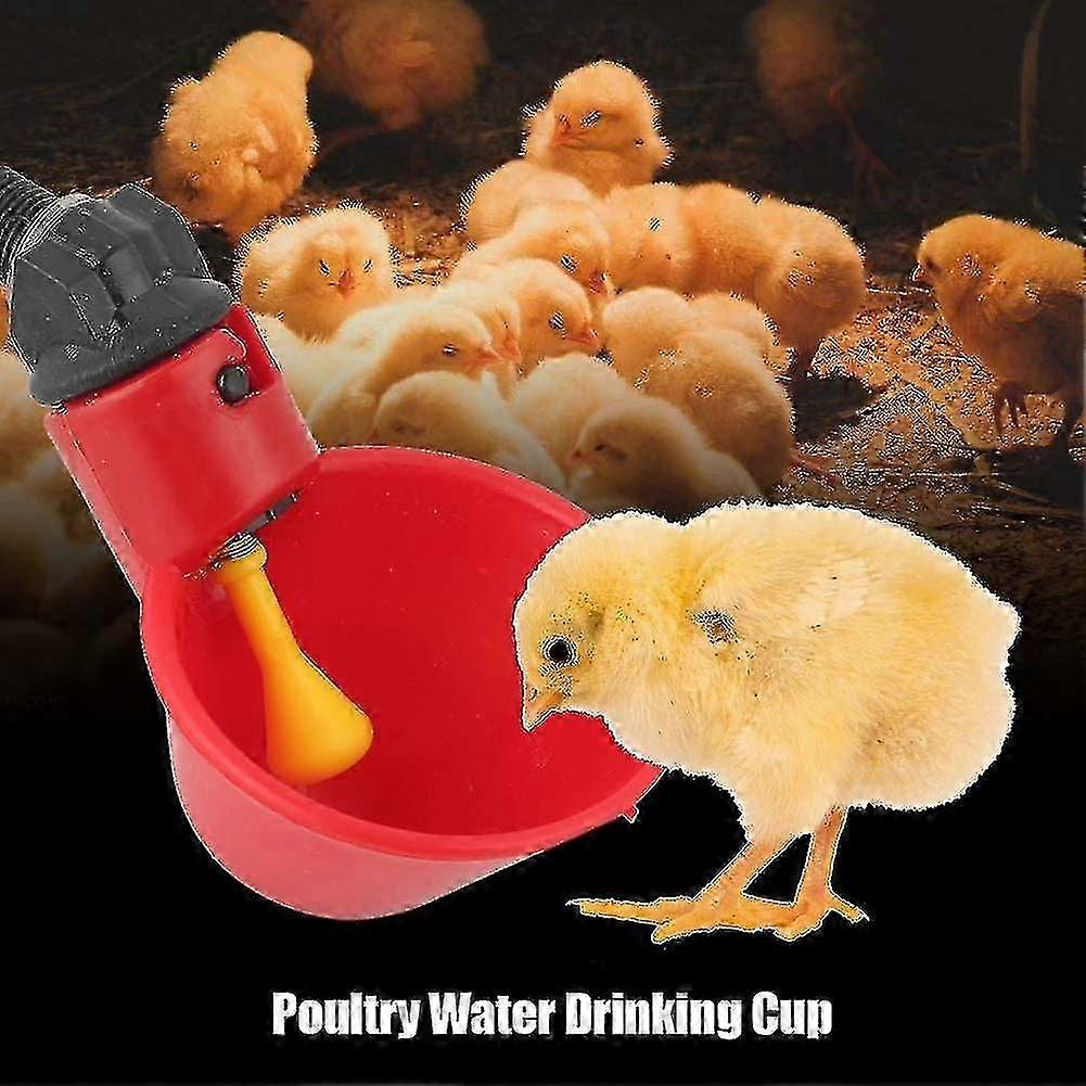 10 Pieces Automatic Poultry Drinking Cups Poultry Water Bird