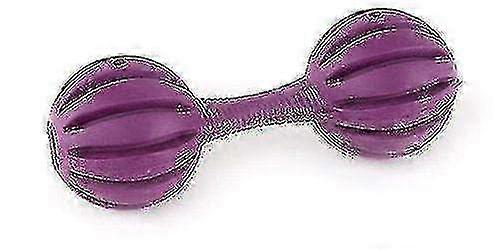 Intelligent Interactive Dog Toy - Premier Waggle Bone for Play and Exercise