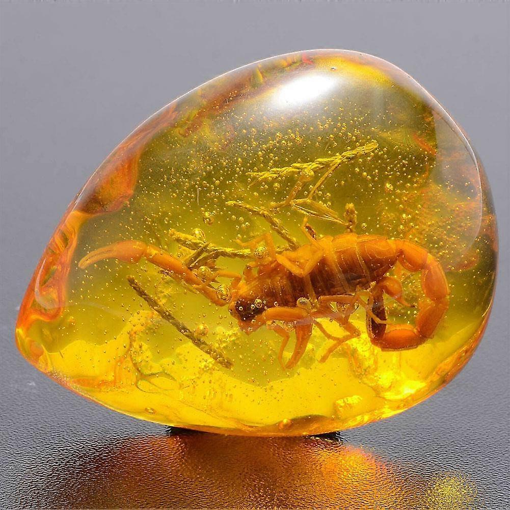 美しい琥珀色のサソリの化石昆虫手動研磨L1U9 | Fruugo JP