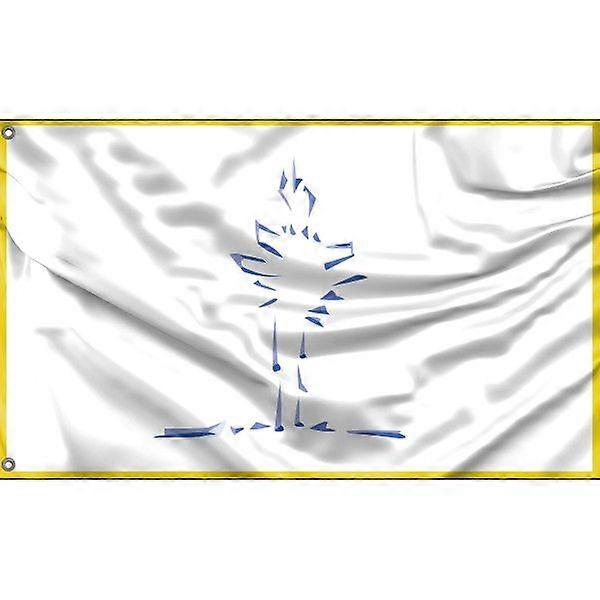 Vlag van Windhoek, FG1054