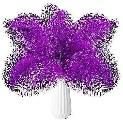 60pcs Natural Feathers For Decoration 25-26