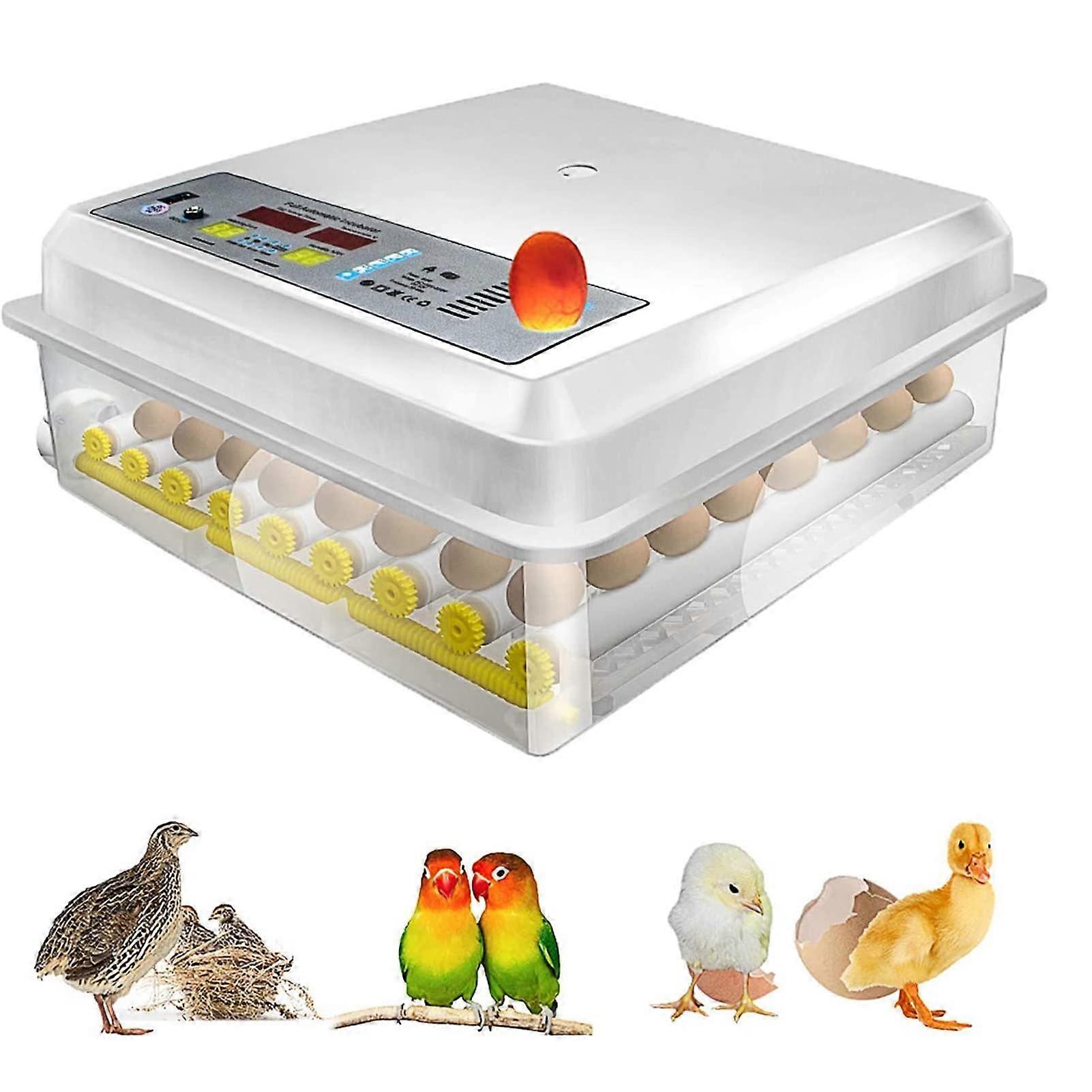 Automatic Egg Incubator with Turner 64 Eggs Digital for Hatching Chicken Duck Quail Goose Turkey
