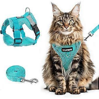 Ensemble harnais et laisse pour chat - Gilet respirant, ajustable et anti-fugue pour chats, harnais rembourré en maille douce avec bandes réfléchissantes - Contrôle facile pour votre chaton