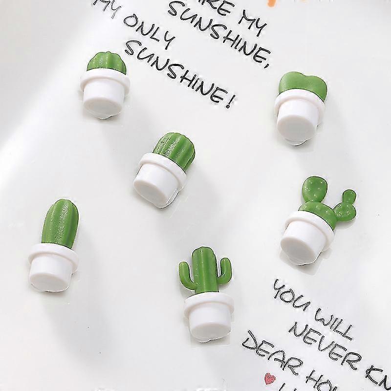 Cactus Succulent Resin Magnet Set
