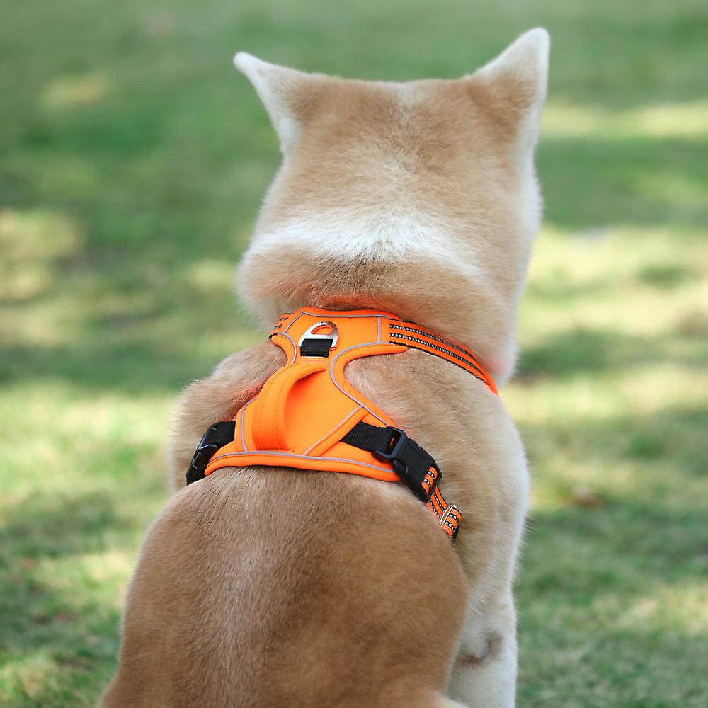 Premium Anti-Zieh-Hundegeschirr Verstellbar Weich - Weste Für Kleine, Mittelgroße & Große Hunde, Kaktus-Design