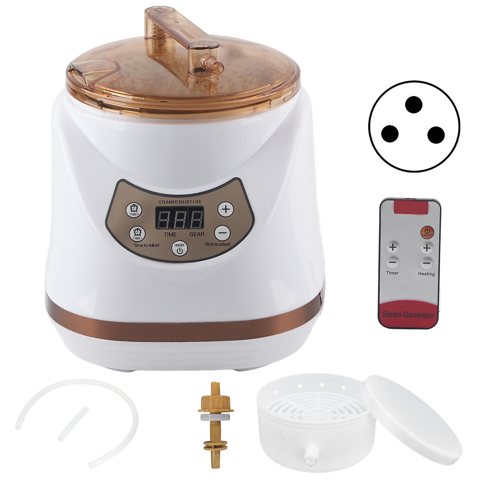 2L Portable Sauna Steamer for Detox & Weight Loss, 1000W Spa Machine with 220V Plug