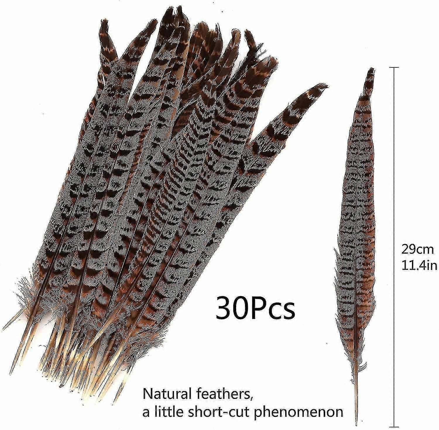 30pcs natural pheasant feathers, diy pheasant tail feathers, 15-28cm soft natural feathers, natural