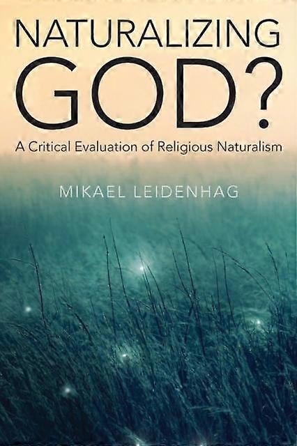 Naturalizing God by Mikael Leidenhag Paperback Book