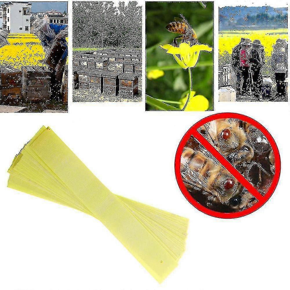 Bee acarian acaricid benzi apicultură albine Varroa acarian ucigaș pest control Newaa