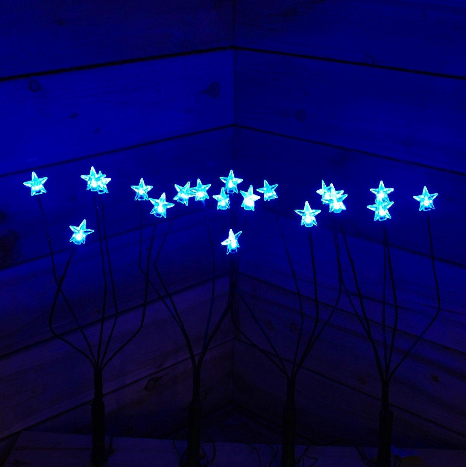 4 Blue Star Connectable Led Garden Path Finder Lights With 60w Transformer