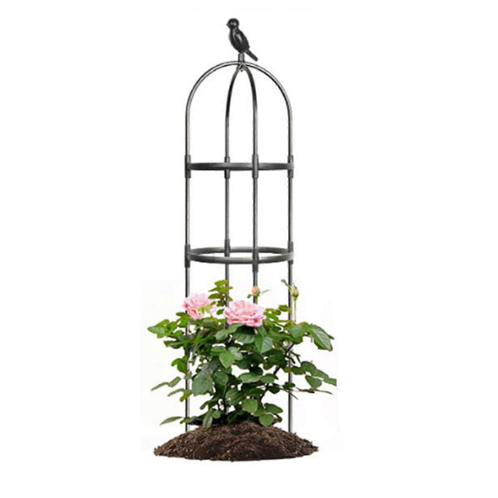 Climbing Aids for Climbing Plants, Easy to Assemble (42x205cm)