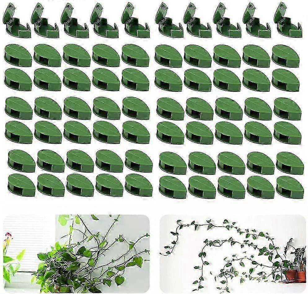 クライミング植物のための70の壁クリップのセット - 庭、家庭、オフィスのために