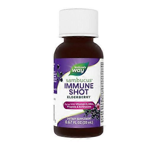 Nature's Way Sambucus Immune Syrup ,20 Ml (Case Of 12) (Pack of 1)