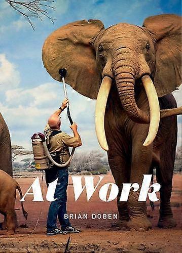At Work Paperback