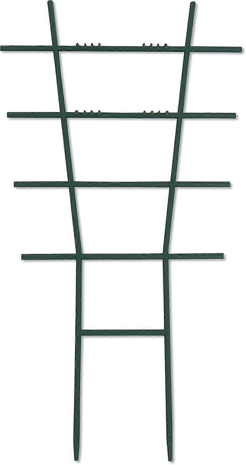 Straight vine support, vine flower stand