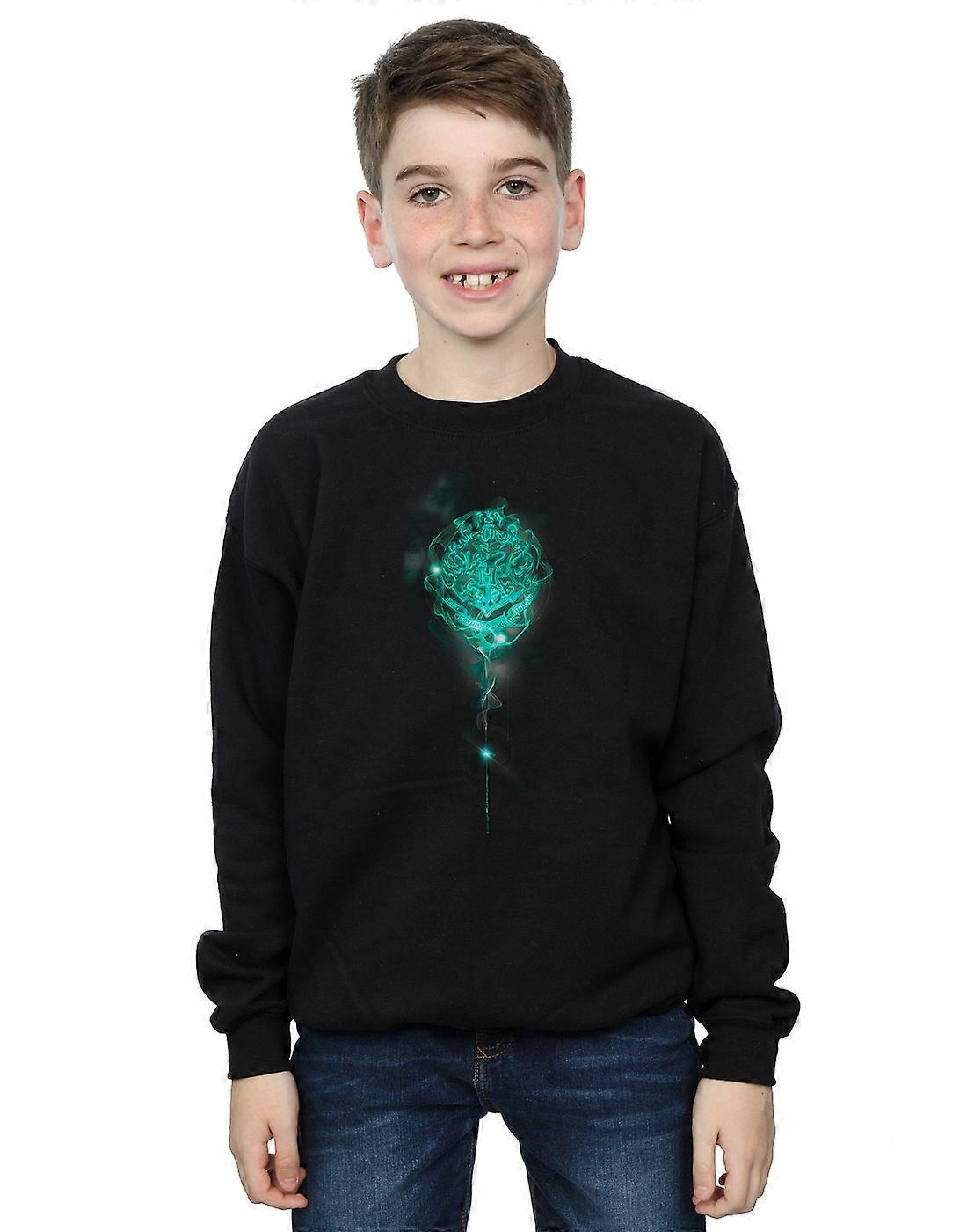 Harry Potter Boys Hogwarts Crest Mist Sweatshirt