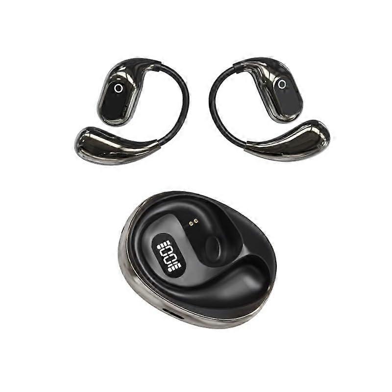 Language Translation Earbuds with RealTime Translator, 75 Languages, Offline Mode, Black