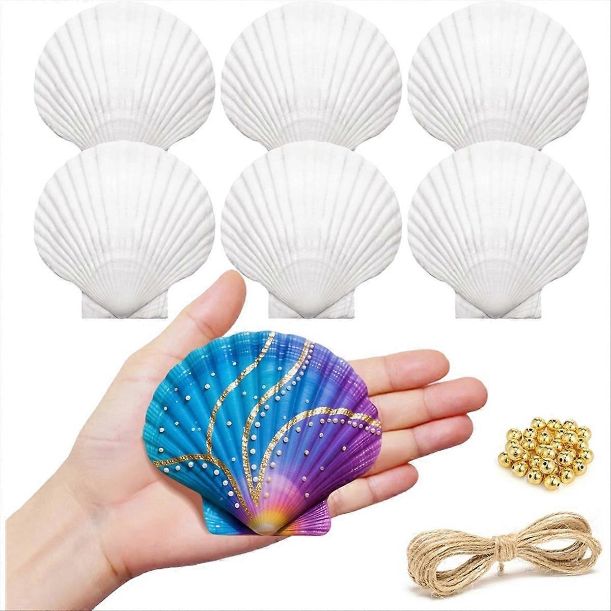 Scallop Shells for Crafts, with String and Beads