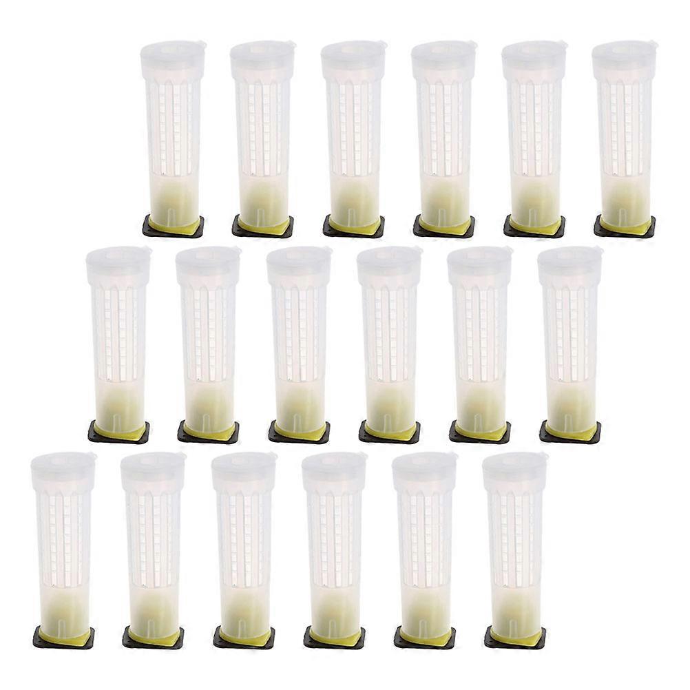 24pcs Bee Cages Bee Catching Tool Beekeeping Accessories Beekeeping Tools