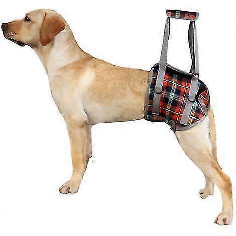 Adjustable Support Harness Breathable Mesh