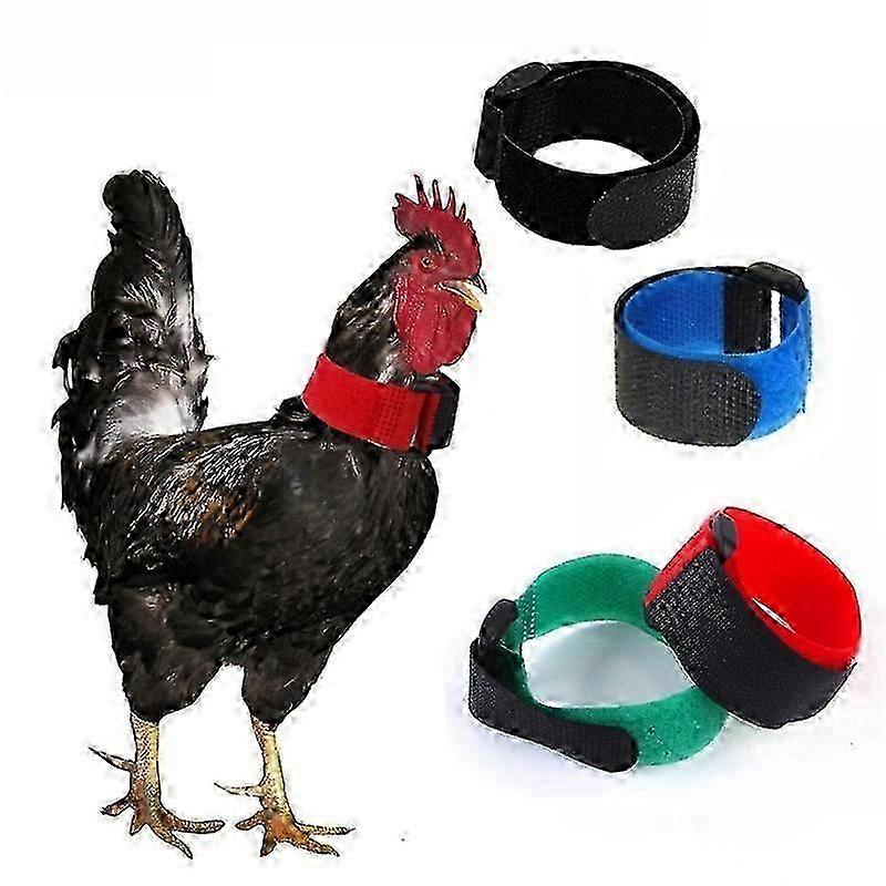 Nylon Rooster Crowing Control Collar